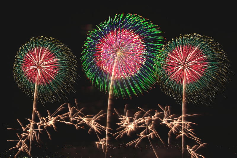 令和に咲く.山日月例写壇